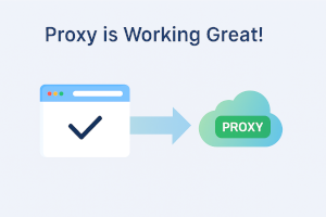 Good News: Proxy Switcher Is Safe Again!